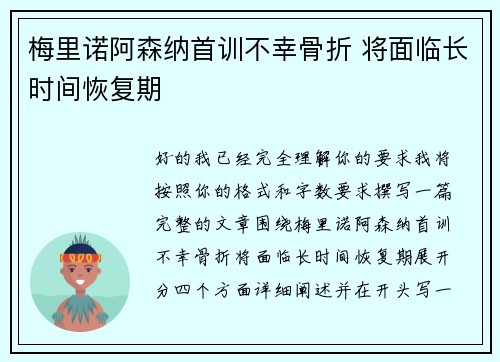 梅里诺阿森纳首训不幸骨折 将面临长时间恢复期 梅里诺阿森纳首训不幸骨折 将面临长时间恢复期